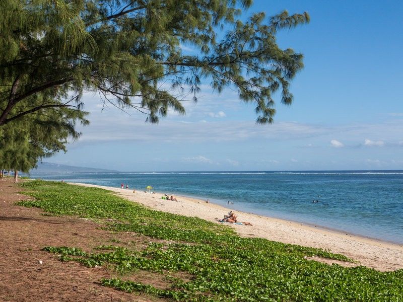 Le Nautile Beachfront Saint-Gilles-les-Bains Exterior foto