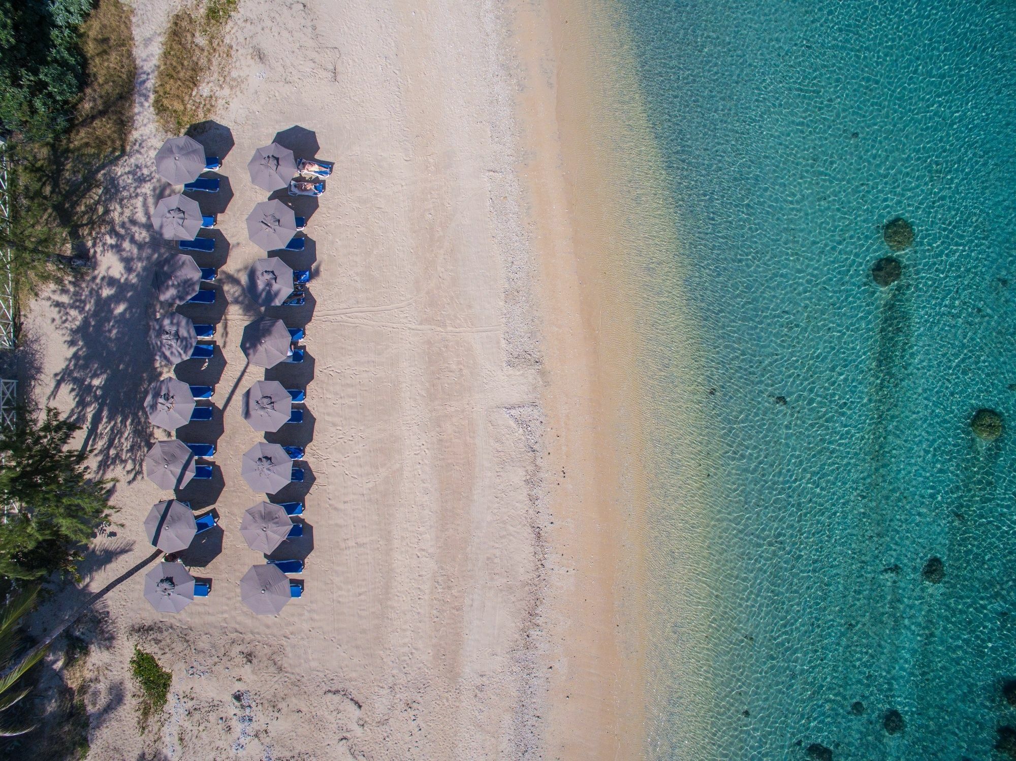 Le Nautile Beachfront Saint-Gilles-les-Bains Exterior foto
